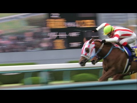 H29.04.09　優勝馬：ﾚｰﾇﾐﾉﾙ　桜花賞　阪神競馬場