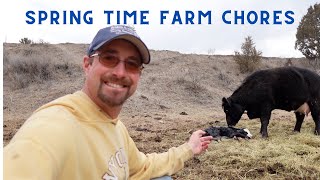 Farm Adventures: Welcoming Calves & Spring Gardens by Broken Arrow Farm 126 views 2 months ago 20 minutes
