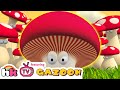 HooplaKidz Tv Gazoon -  Mushroom Monster | Funny Animal Cartoons | Jungle Series | Cartoons for Kids