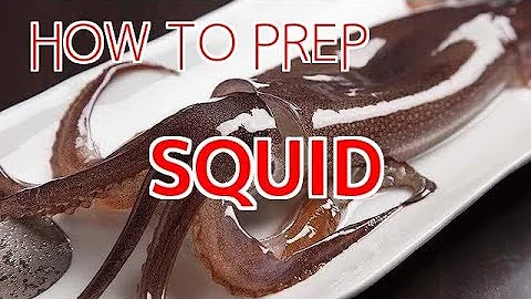 How to Prep Squid for Sushi and Sashimi【Sushi Chef Eye View】