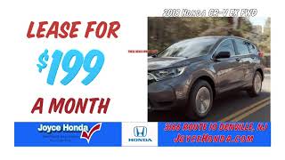 Joyce Honda - The Family Reputation You Should Know!