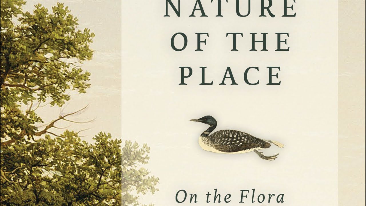 The Nature of the Place - Ed Kanze - YouTube
