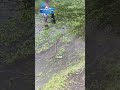 Смешная прогулка по полям! #топ #рекомендации #шортс #факты