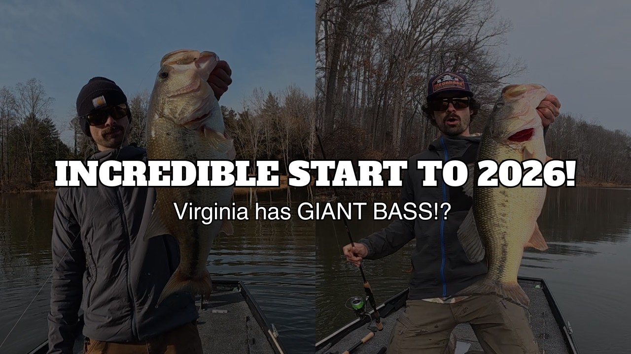 NEW YEAR = BIG BASS