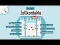 Zellkontakte | Aufbau &amp; Funktion | MedAT | Biologie