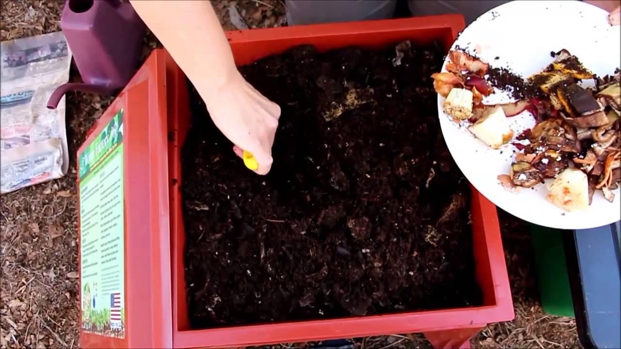 Worm Factory 360 worm composter directions and review from Canada part