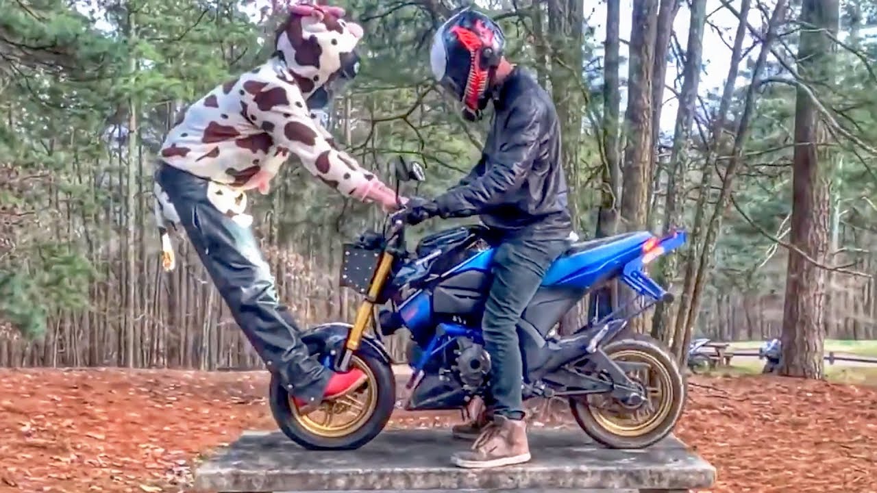 Stupid, Crazy & Angry People Vs Bikers 2019 [Ep.#665] - YouTube