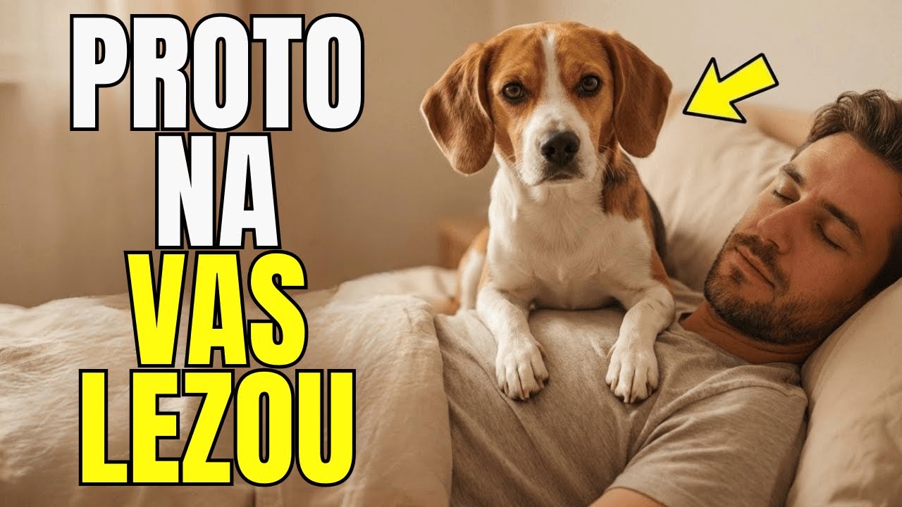 Vysvětlení chování psů | Proč se psi najednou posadí na vás — překvapivý důvod