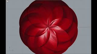 Rose petals 3D assignment 1