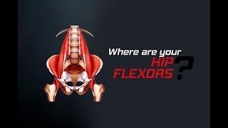 How to Stretch Your Hip Flexors تمرين استطالة للعضلات القابضة للورك