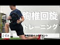 【胸椎】体幹との連動を促す胸椎回旋トレーニング