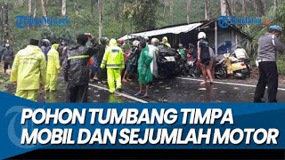 POHON TUMBANG GENCET GRANMAX dan Sejumlah Motor, Satu Orang Tewas