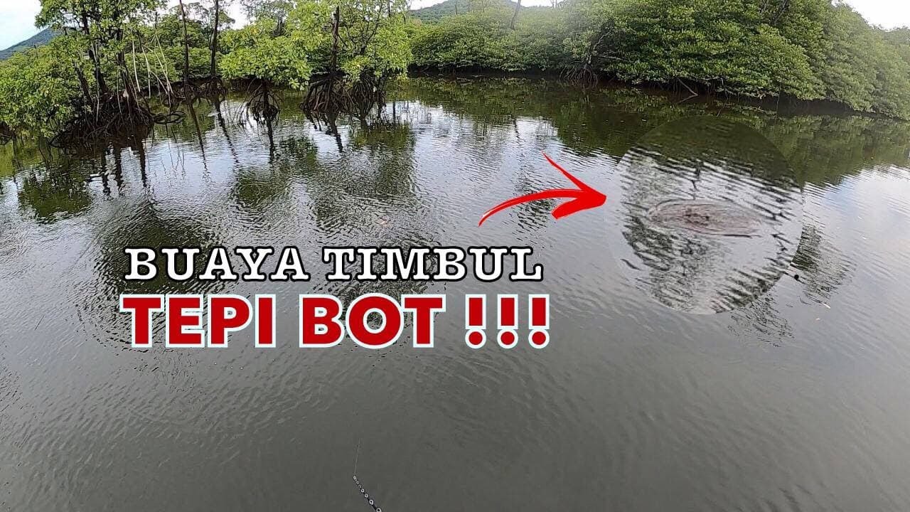 Begegar Lutut !! BUAYA Timbul Depan Mata | Casting Muara Semporna
