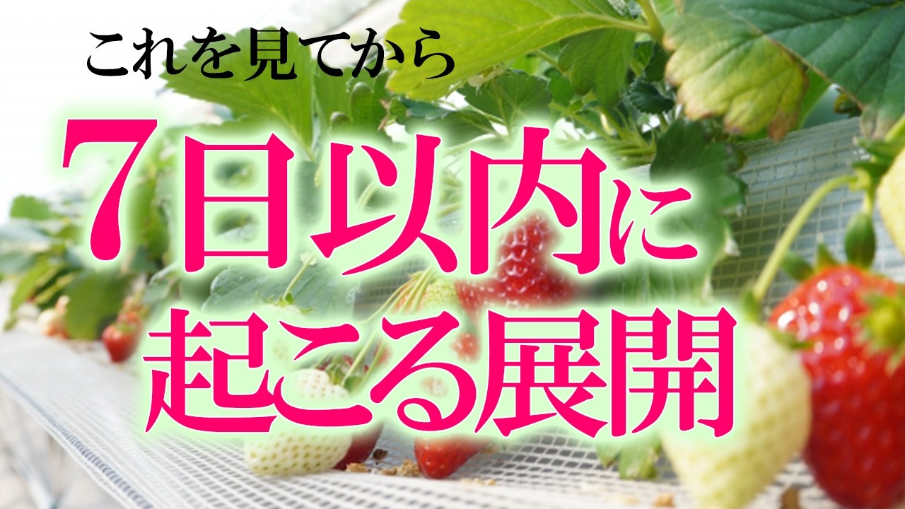✨選択肢〇さん社会の流れを見て【見た時がタイミング】この動画を見てから７日以内に起きること✨