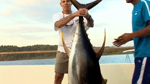 Exploding Tuna Everywhere! Adventures in Panama