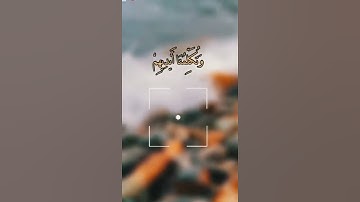 ستوريات دينيه /🌱/ اليوم نختم على أفواههم وتكلمنا أيديهم وتشهد/🌱/حالات واتس آب قرآن/آيات قرانية قصيرة