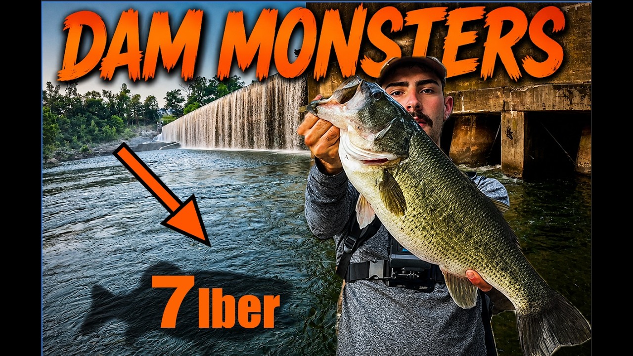 Truck Camping Overnight to Fish a Dam for Giant Bass!