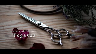 キングクラフトシザー ペガサス(Pegasus) KNS-20M/ 30M (KING