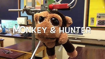 Monkey & Hunter - A Level Physics