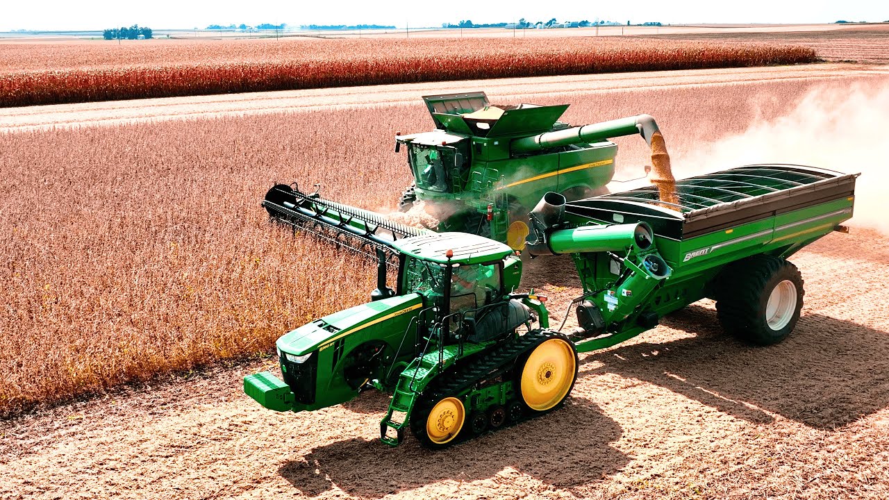 САМЫЕ ГРЯЗНЫЕ бобы, которые я когда-либо видел!