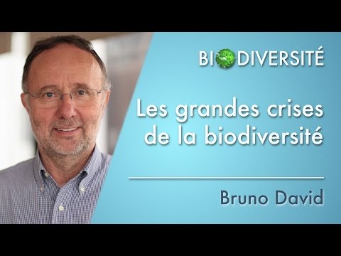 Vidéo: Qu'entend-on par crise de la biodiversité ?