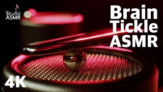 Brain Tickle ASMR | Extreme Macro Microphone Scratching | Studio ASMR 4K