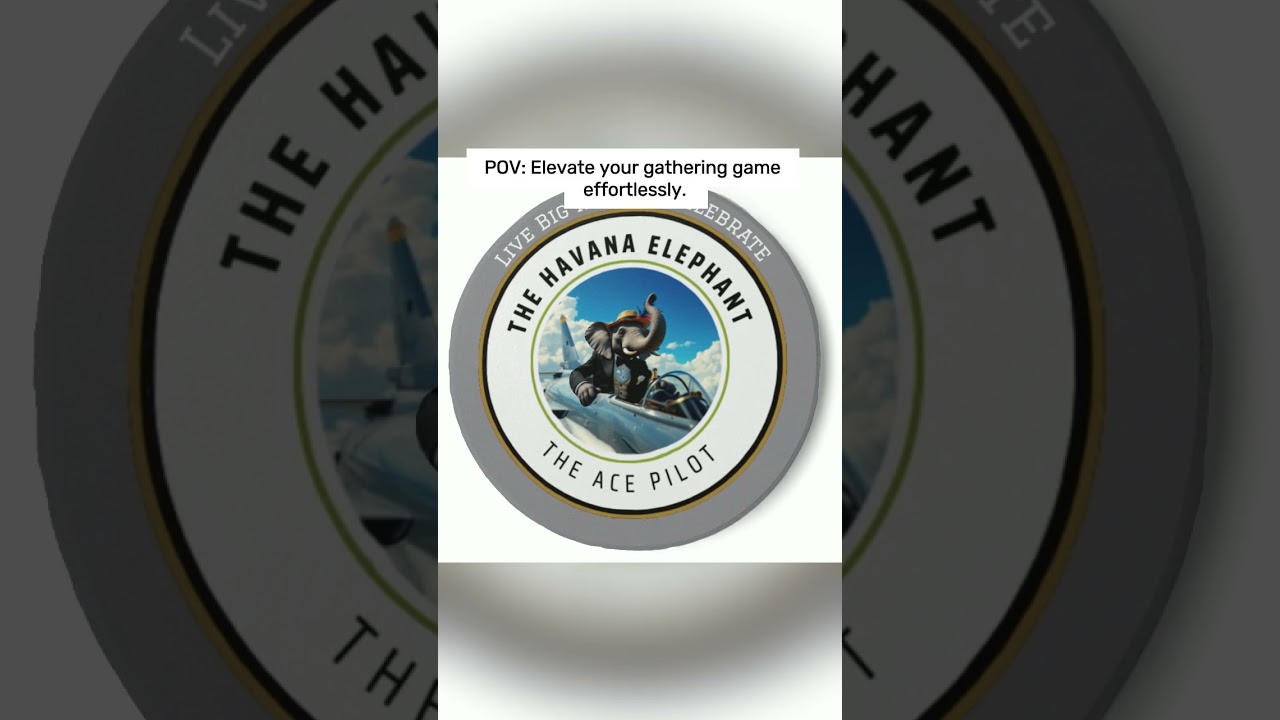 🐘🥂 Protect your surfaces in style with Havana Elephant coasters!