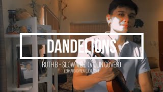 DANDELIONS - Ruth B (ZRD Violin Cover)