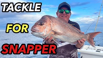 Tackle Snapper on Soft Plastics