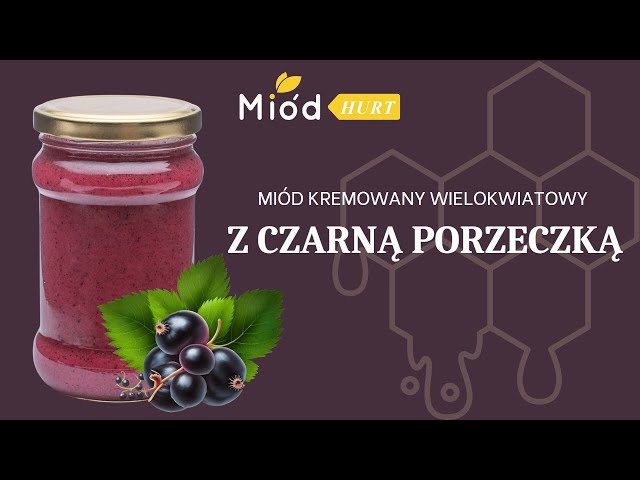 MiodoMix - Miód Wielokwiatowy Kremowany z Czarną Porzeczką (słoik szklany 400 g) - Karton 40 sztuk