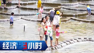 规模超1.2万亿元！“候鸟”成为争抢人才，避暑经济带火各地文旅 「经济半小时」20230802 | 财经风云