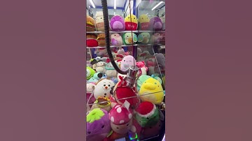 Squishmallow Claw Machine Wins 😧 Day 7 #shorts #clawmachine #arcade #squishmallows