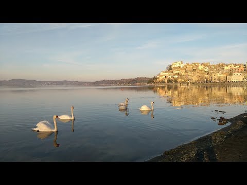 Day trip from Rome - Anguillara sabazia