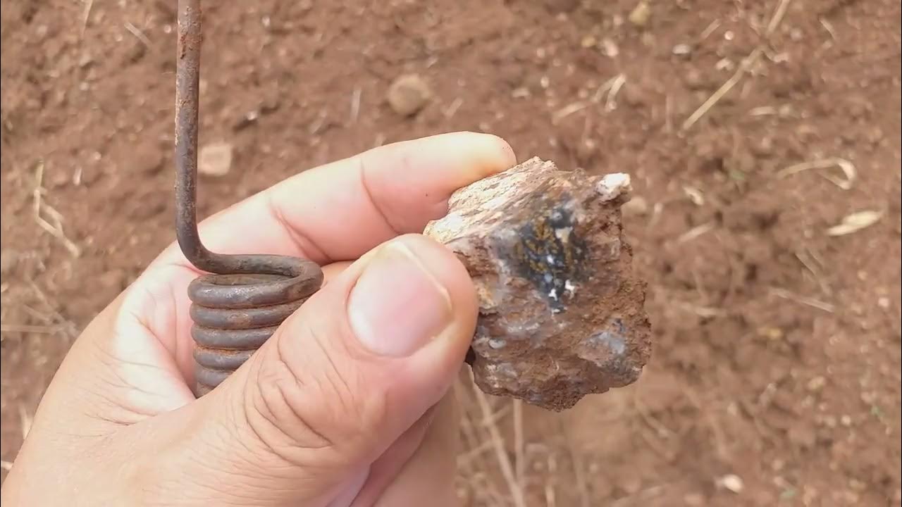 Searching for the most expensive agates in the world. (A procura das