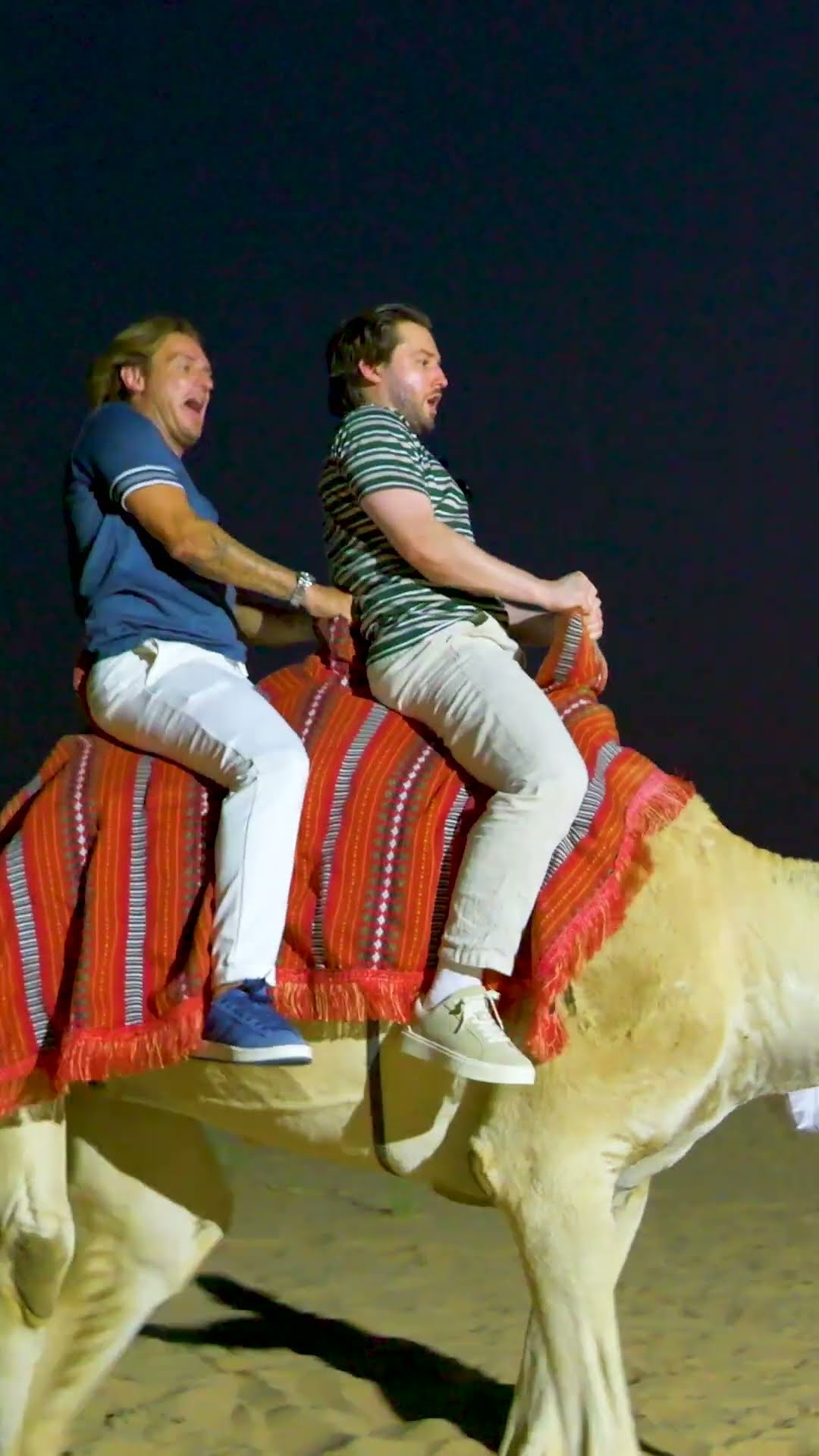 Think he’s got the hump ??