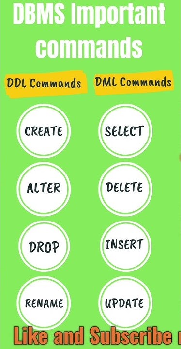DDL and DML Commands #pythonprogramming #python #mysql #cbseboard #cbse ...