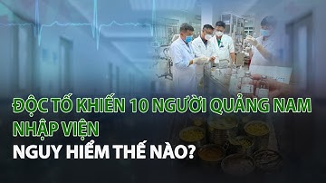 Độc Tố khiến 10 người Quảng Nam nhập viện nguy hiểm thế nào?| VTC14