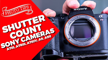 How to check SONY cameras SHUTTER COUNT | A7iii, A7riii, A7Riv, A7ii A7rii, A7sii, A6500