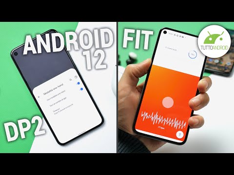 Le novità di Android 12 DP2 + misurazione CARDIO su Google FIT sui Pixel (come attivarlo)