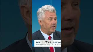 Deutschland: SPD Erpresst CDU! Und warum das alle betrifft! #shorts