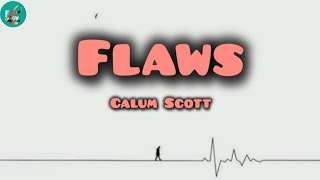 Calum Scott - Flaws (Lyrics)