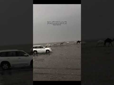 ياليتك بعد شدو هلك مع اهلك شديت علشان ما تقعد ابدربي موازيني