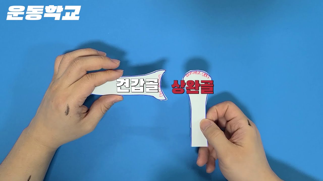 볼록(Convex)오목(Concave)법칙의 원리 - 볼록오목법칙의 개념을 이해하고 싶다면 필수 시청!!