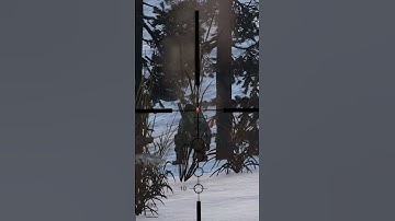 STEALTH SNIPER vs a TEAM #dayz #gaming #pvp