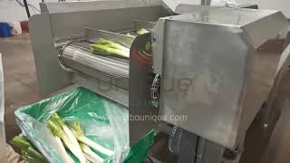 scallion green onion spring onion washing machine washer equipment