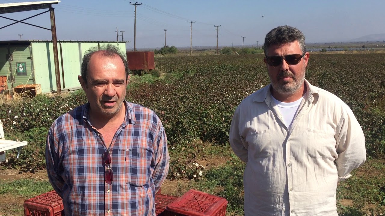 Πλύσιμο και ξήρανση καρυδιών. 07.10.2018.