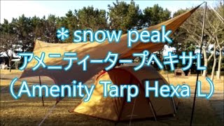 スノーピーク（snow peak）アメニティータープヘキサL（Amenity Tarp Hexa L）を設営してみた