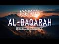 Surah Al-Baqarah (سورة البقره) LISTEN NOW | Full Quran Recitation for Protection &amp; Peace | Alaa Aqel