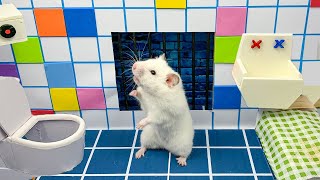 Hamster escapes from Prison in the Bathroom Maze 🐹 by MR HAMSTER 4,579 views 3 months ago 29 minutes