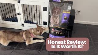 Honest Review: Purina Pro Plan High Protein Dog Food, Sport 30/20 Salmon Rice Dog Food| Worth It?